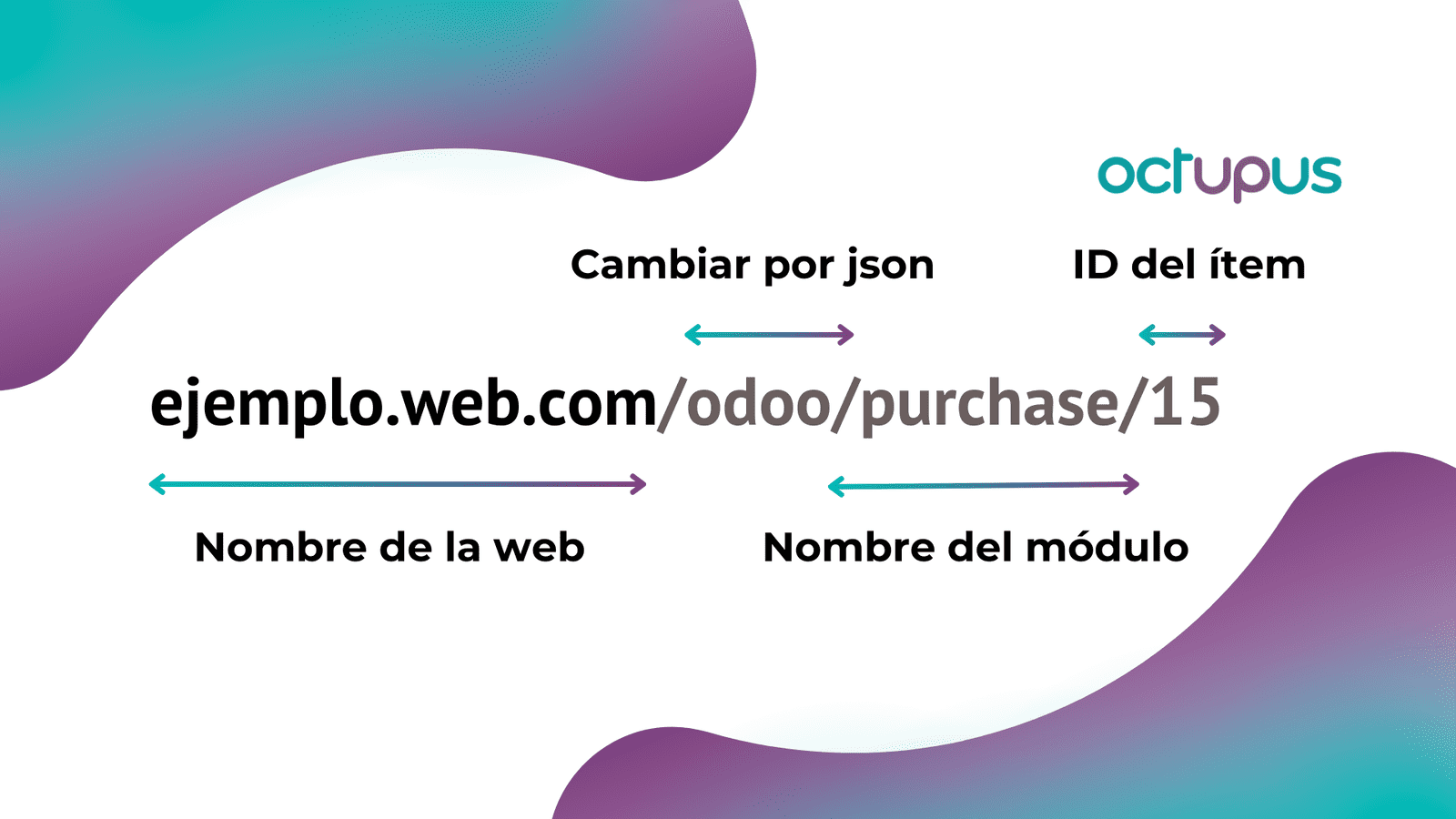 Estructura que siguen las nuevas URLs en Odoo 18